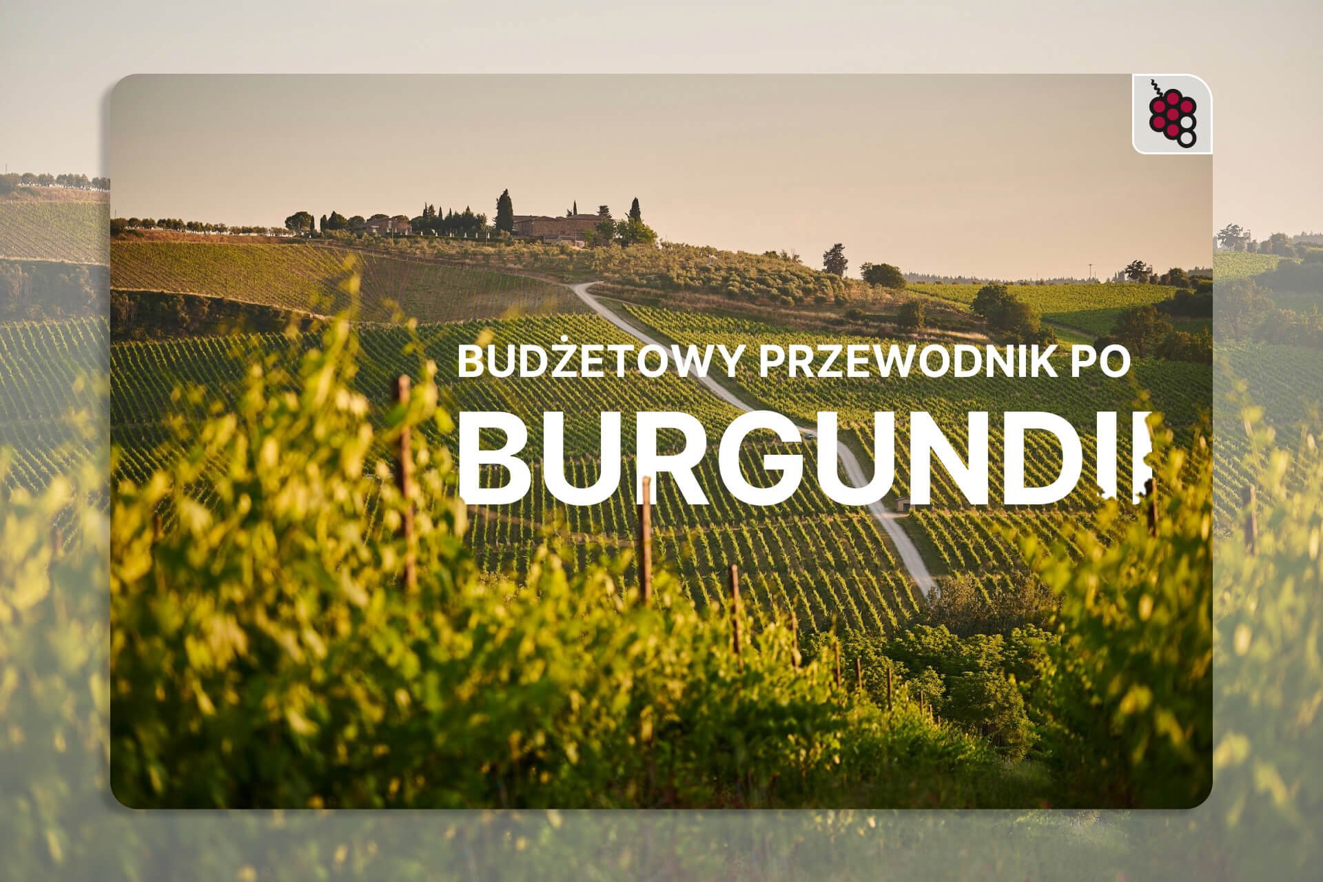 Budżetowy przewodnik po Burgundii: jak znaleźć niedrogie wina