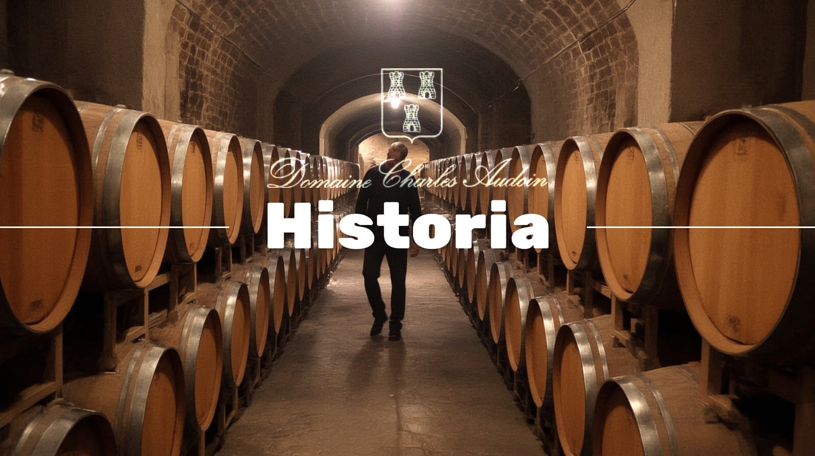 Domaine Audoin Historia