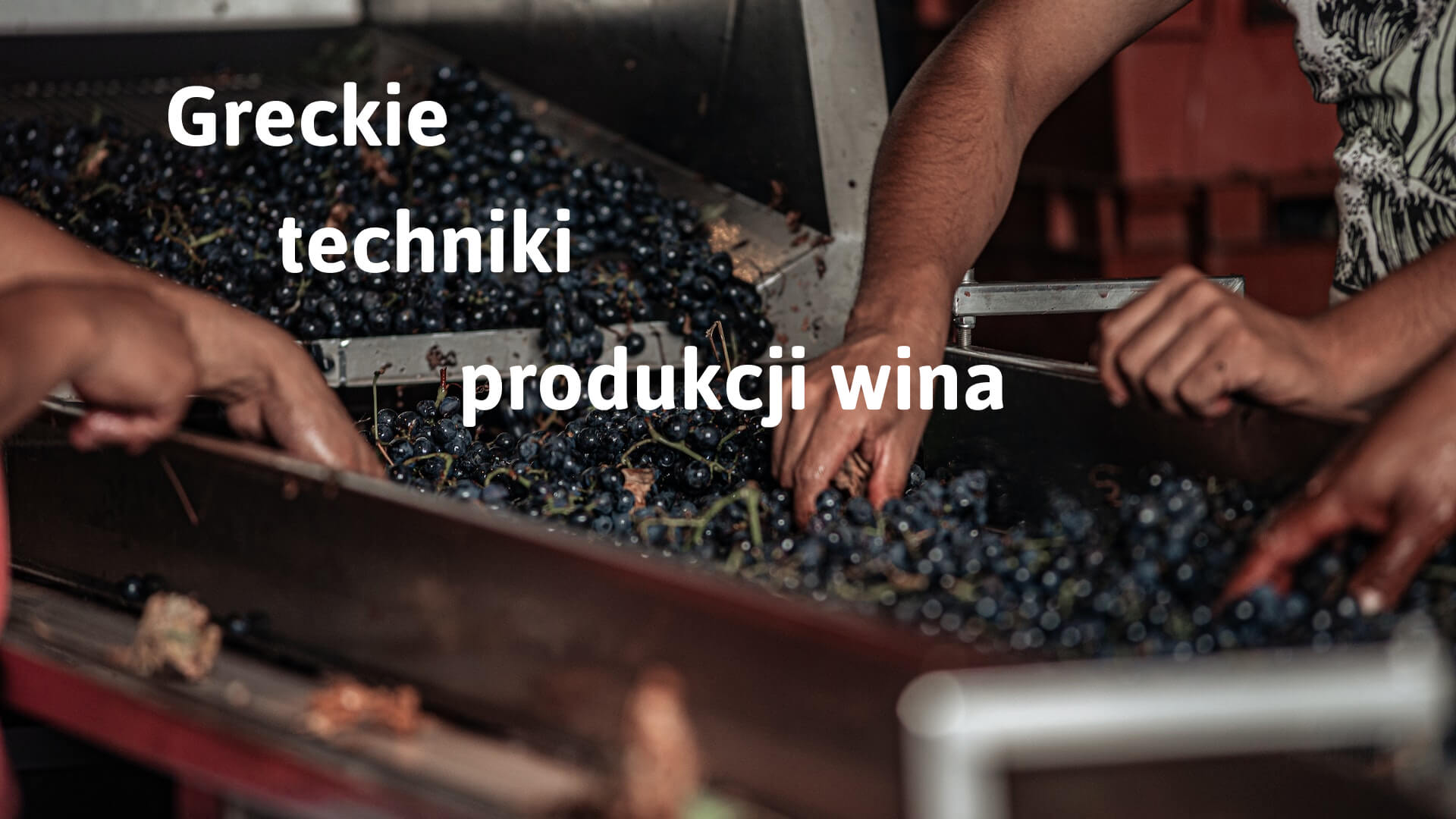 Greckie techniki produkcji wina
