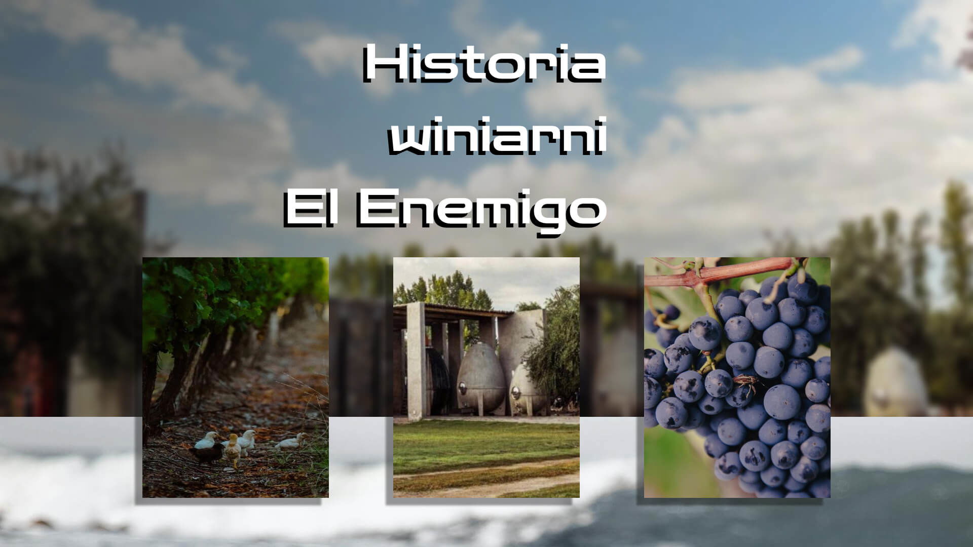 Historia winiarni El Enemigo