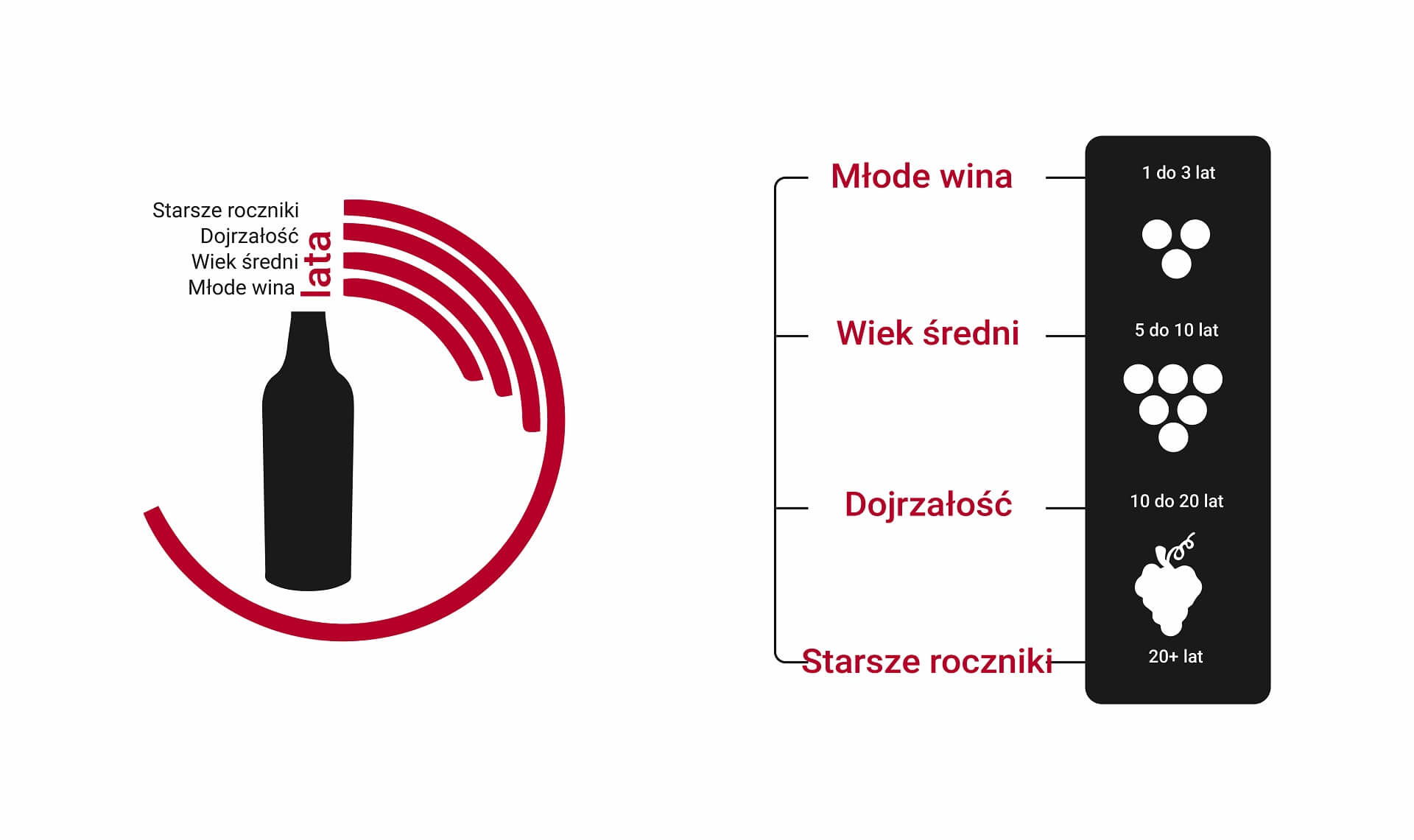 Idealna-oś-czasu-starzenia-Cabernet-Sauvignon