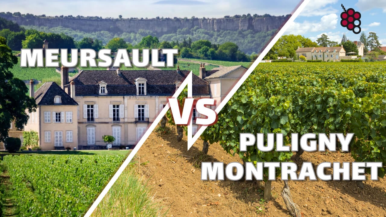 Kluczowa rola terroir: Meursault vs Puligny Montrachet i co sprawia, że te wina są tak wyjątkowe