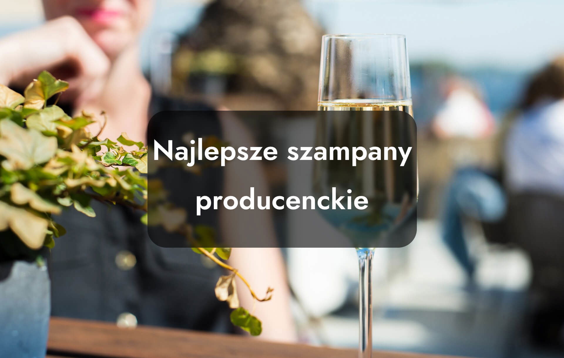 Najlepsze szampany producenckie