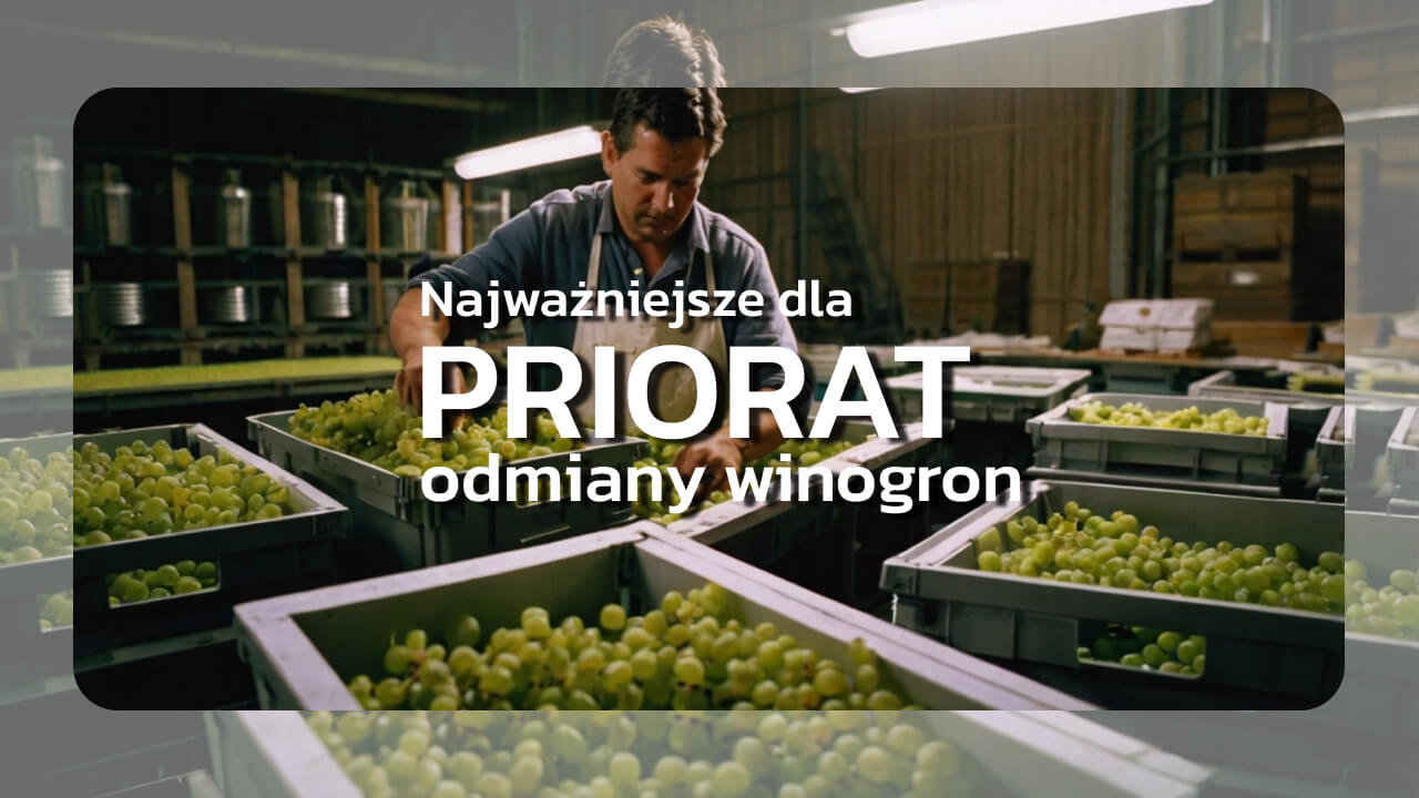 Najważniejsze dla Priorat odmiany winogron