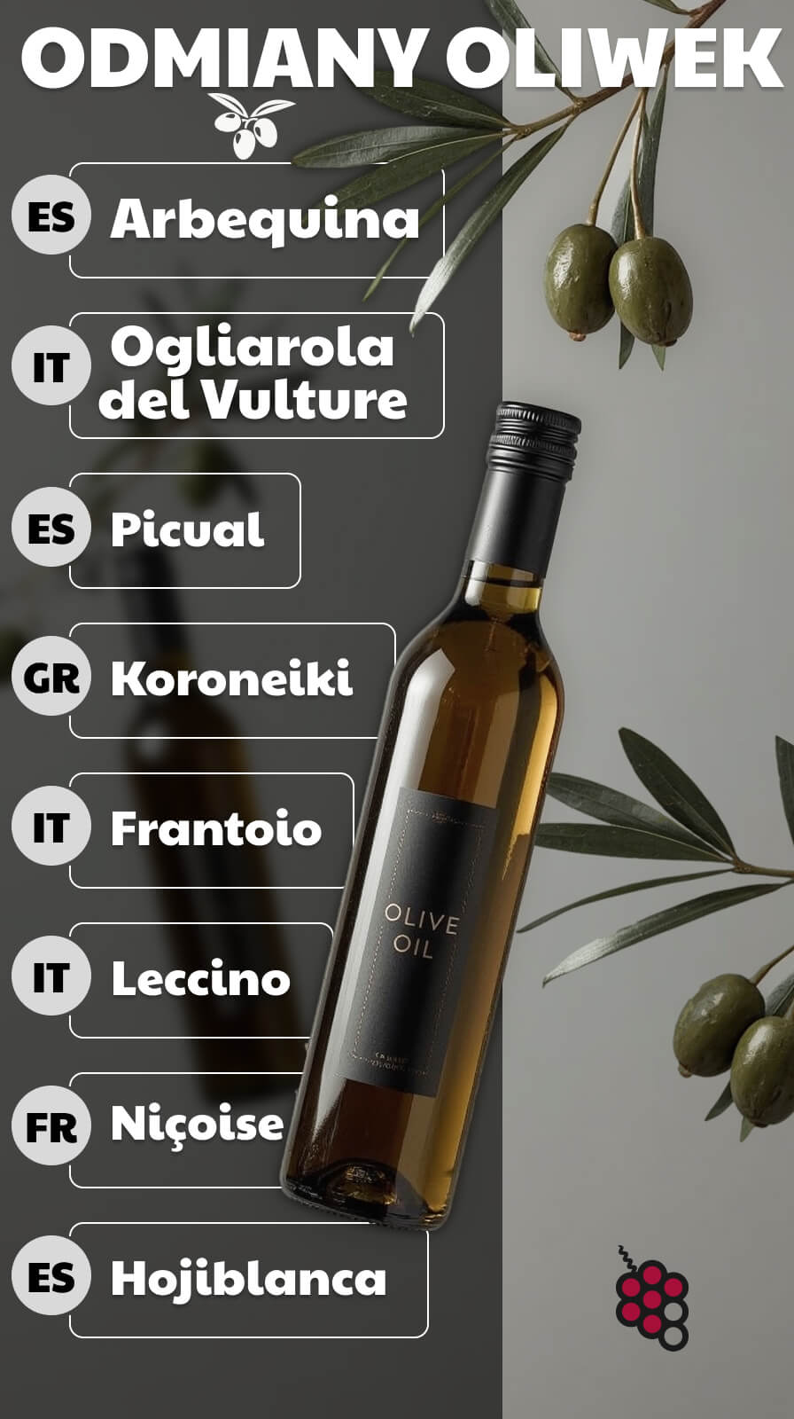 ODMIANY OLIWEK