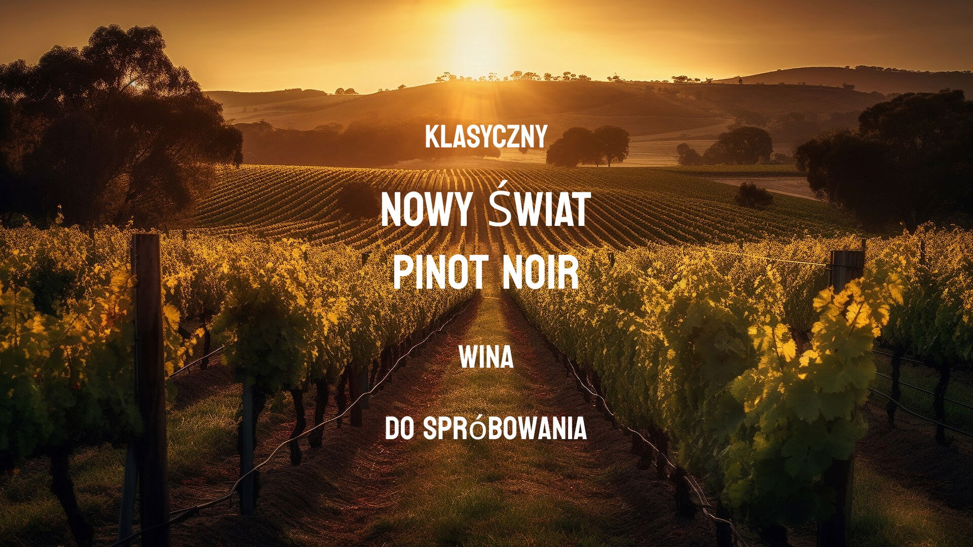 Pinot Noir wina do spróbowania