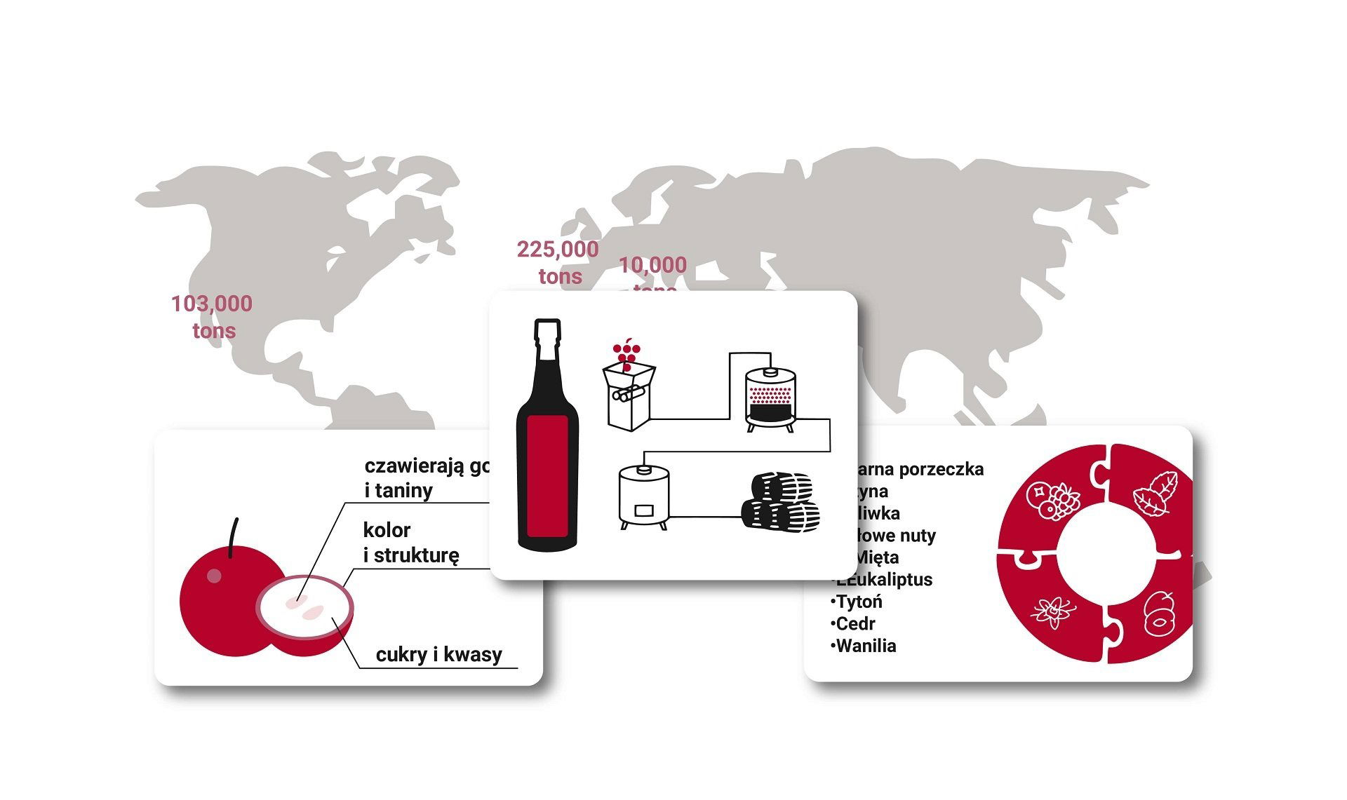 Przewodnik po Cabernet Sauvignon dookoła świata w 2024 roku