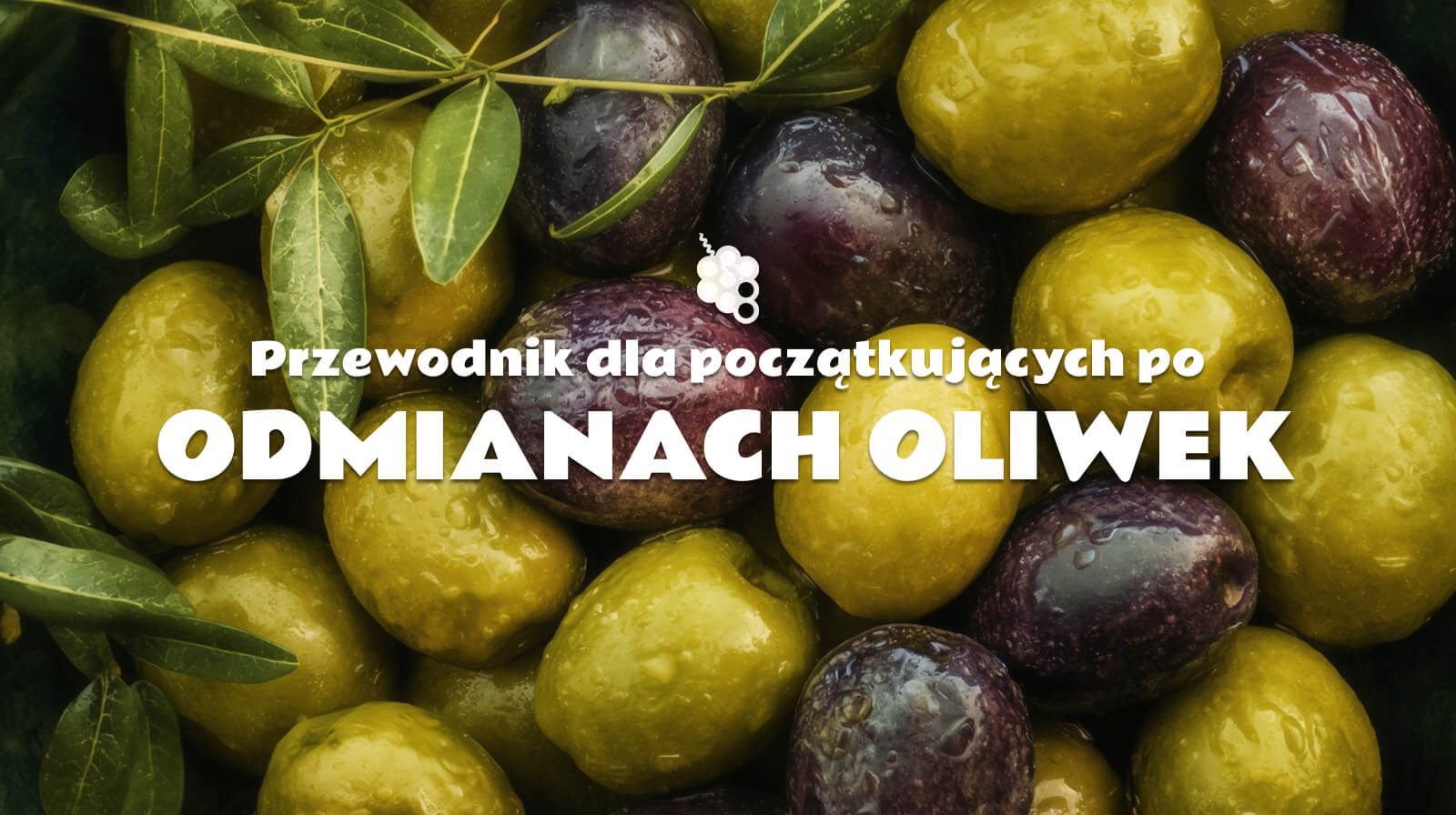 Przewodnik dla początkujących po odmianach oliwek: Jak smakuje każda z nich i jak ją wybrać