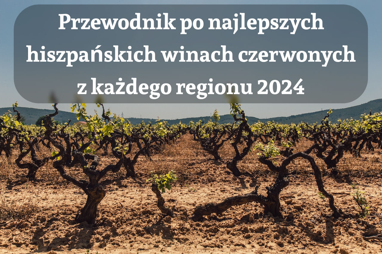 Przewodnik po najlepszych hiszpańskich winach czerwonych z każdego regionu 2024