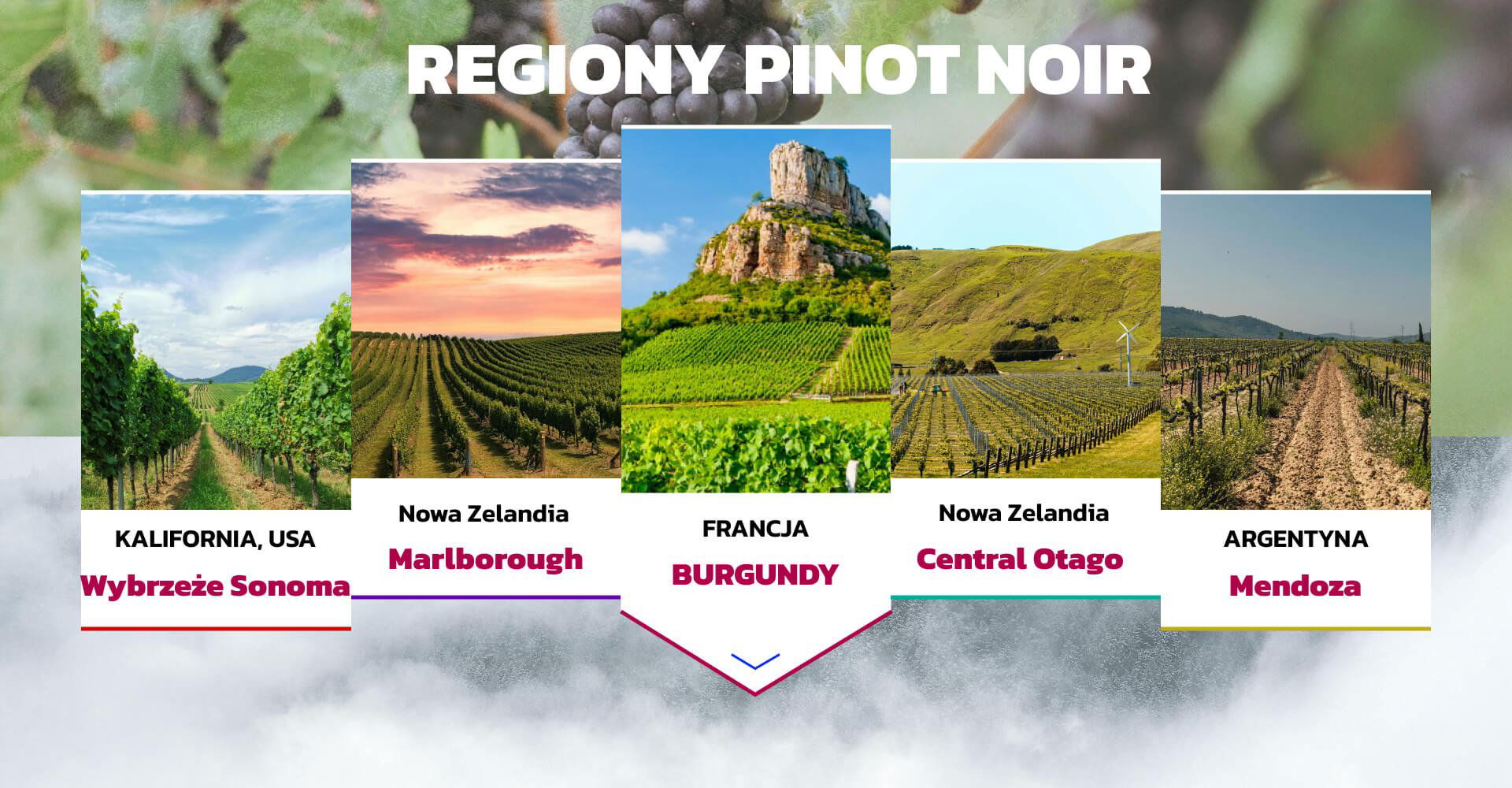 REGIONY PINOT NOIR