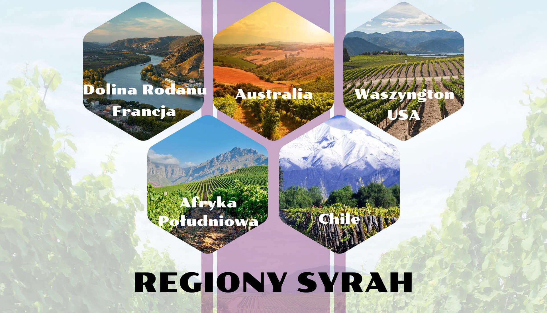 Regiony Syrah