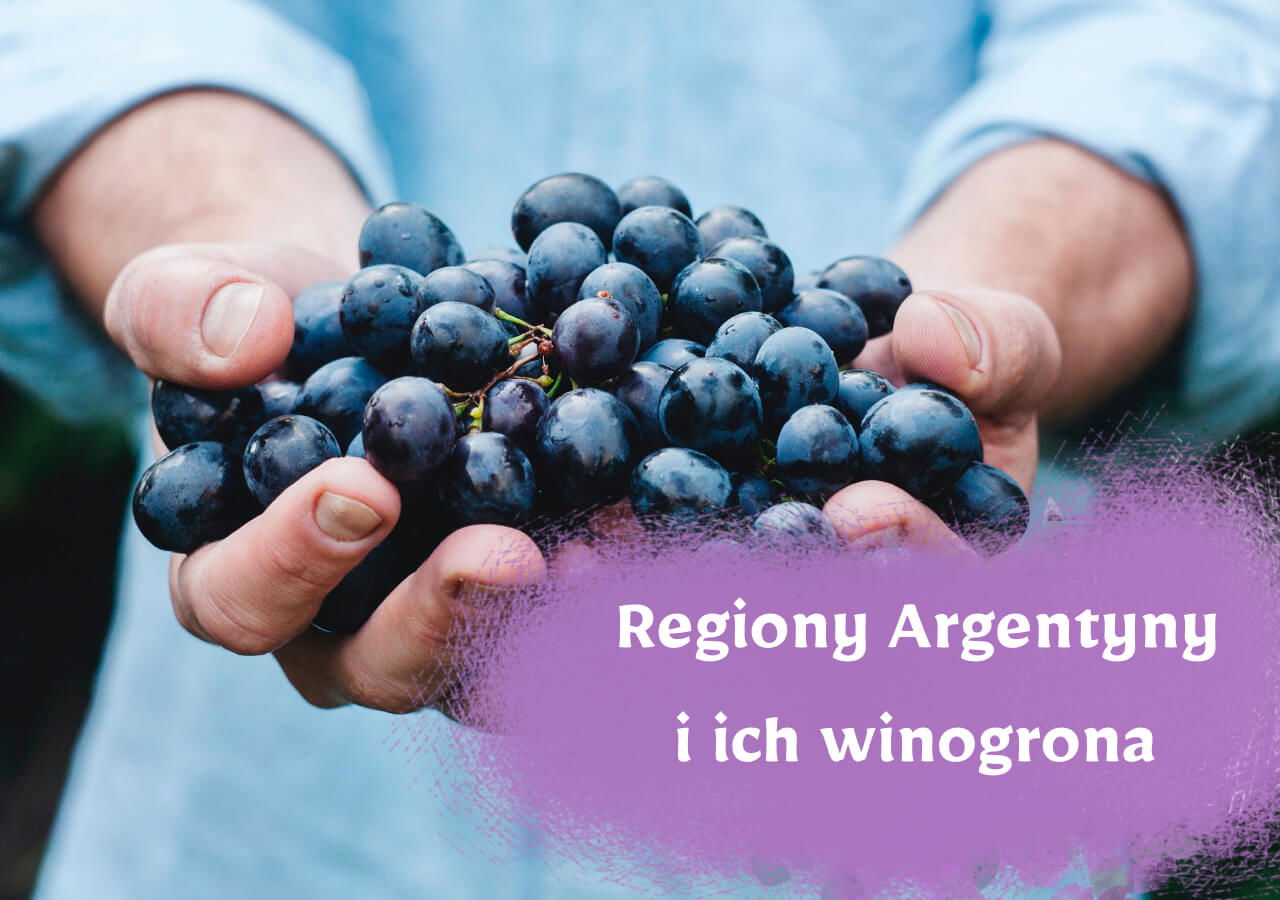 Regiony Argentyny i ich winogrona