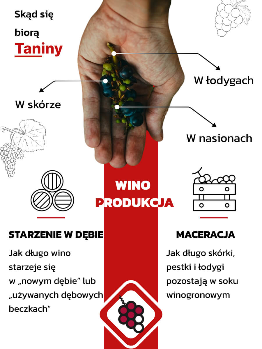 Skąd się biorą taniny