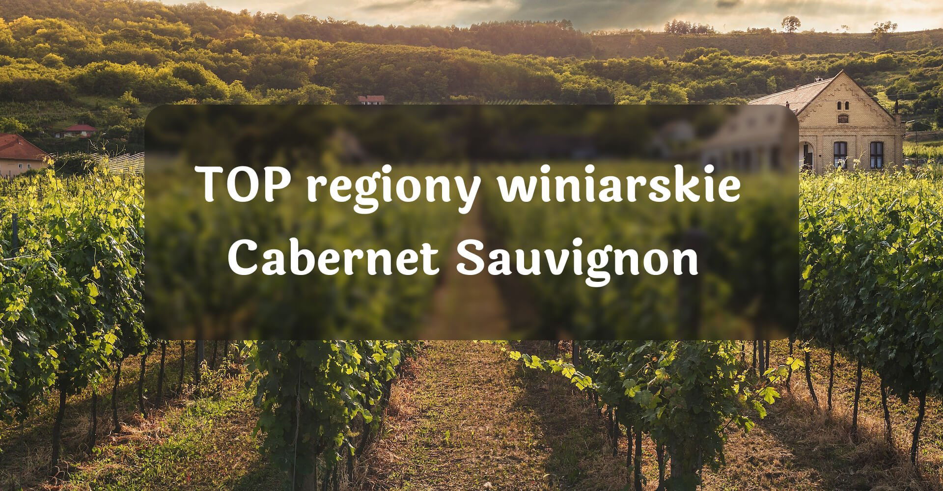 TOP regiony winiarskie Cabernet Sauvignon