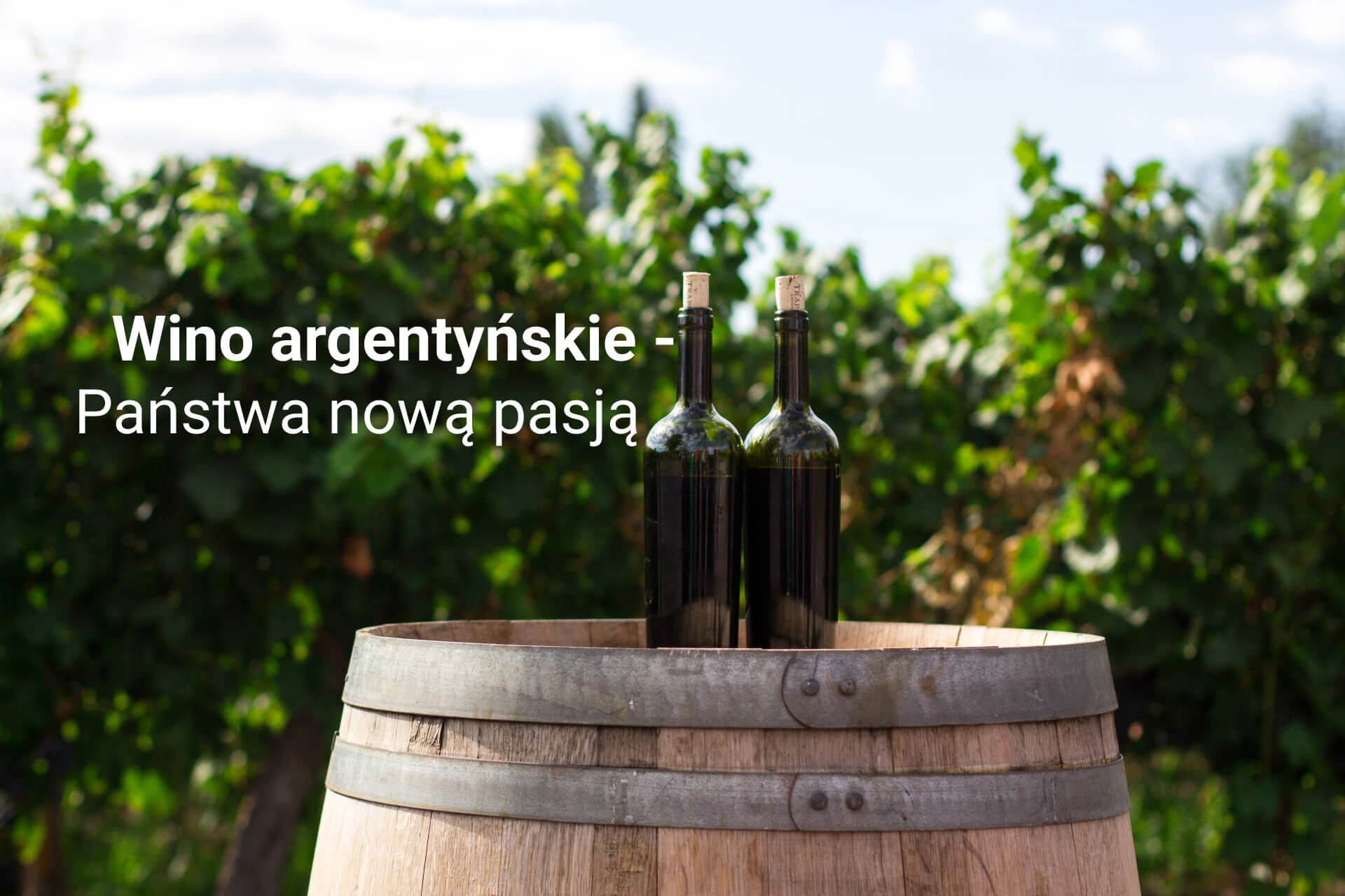 Dogłębne spojrzenie na argentyńskie wino