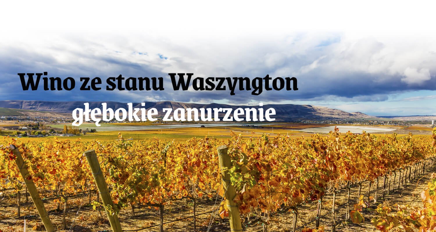 Wino ze stanu Waszyngton - głębokie zanurzenie