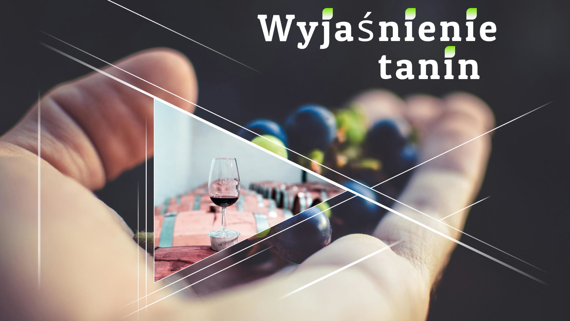 Taniny wyjaśnione: Jak wpływają na wino