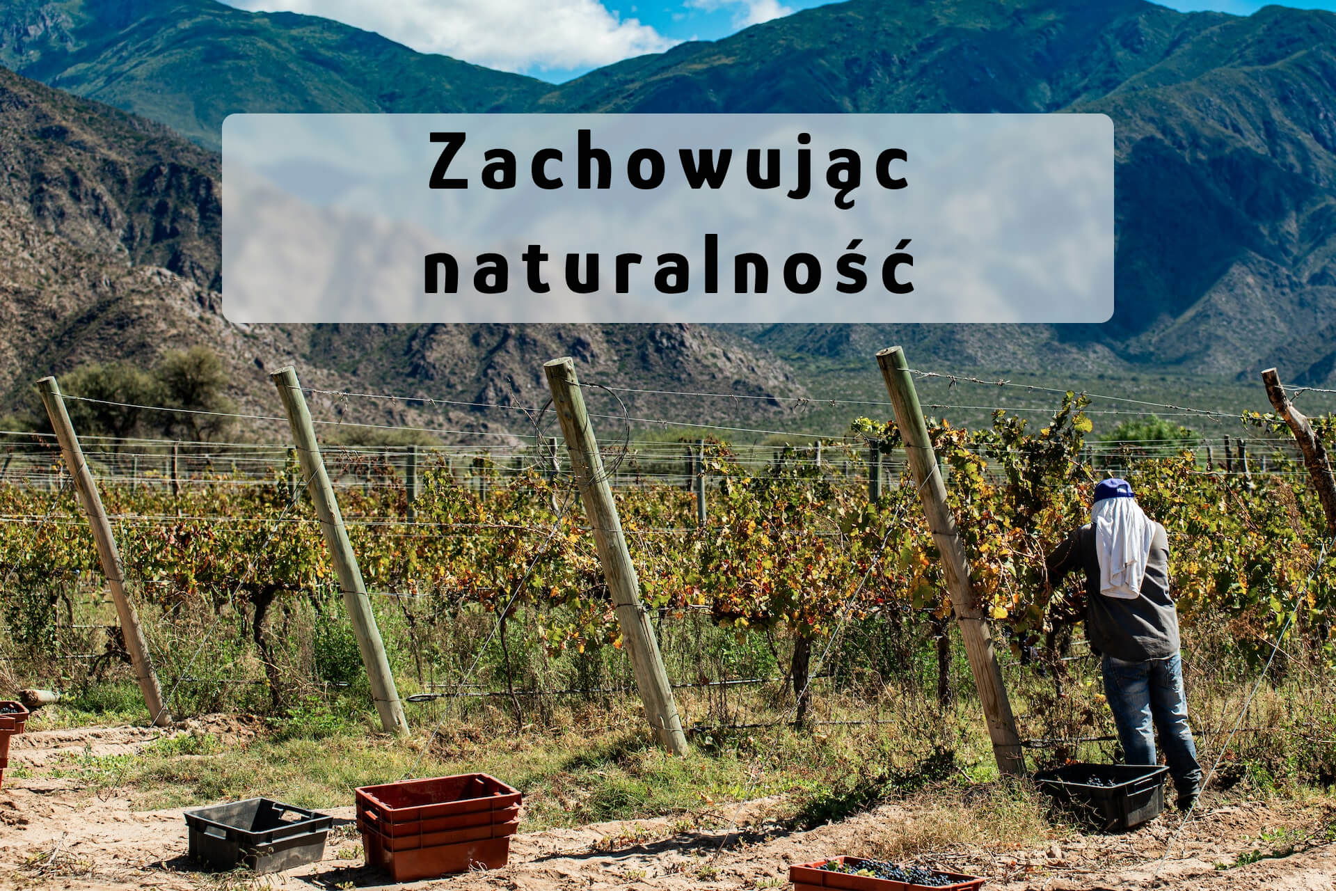 Zachowując naturalność